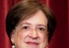Democrats Find The One Photo Id They Like (For Illegals) | We The People Daily