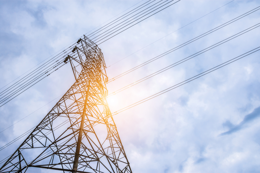 How to Survive when the Grid Goes Down - Survivopedia