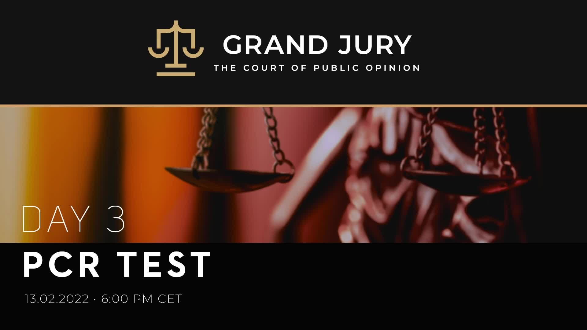 ?Grand Jury Day 3: PCR Test - Dr. Reiner Fuellmich Nuremberg 2.0