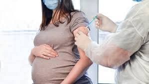 Hidden data from Pfizer’s tests show no living child was born to a vaccinated mother – World-Signals News