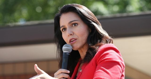 Gabbard: If 'Power Elite' Continue Censorship, Propaganda 'We Will Have a Dictatorship'