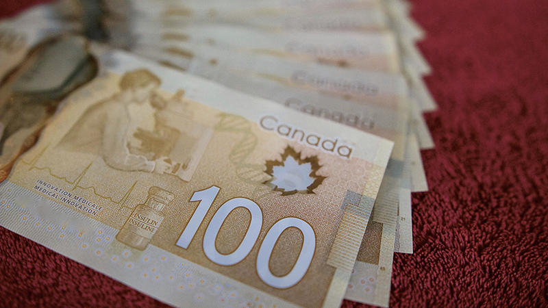 Canadian MP Details How Struggling Single Mother’s Bank Account Has Been Frozen By Trudeau Regime