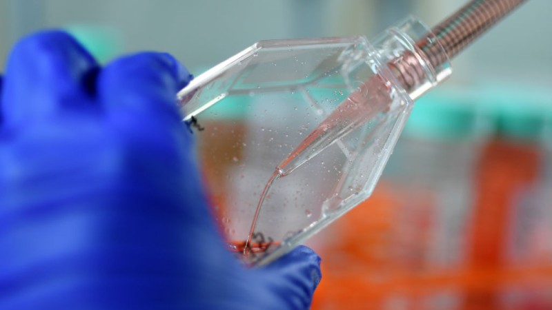Scientists Discover Genetic Material Suggesting COVID Came From Chinese Lab