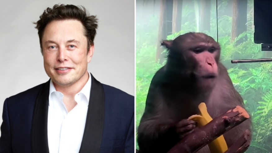 Monkeys with Neuralink brain chips by Elon Musk have died in terrible torment, it is not clear if there are any survivors – World-Signals News