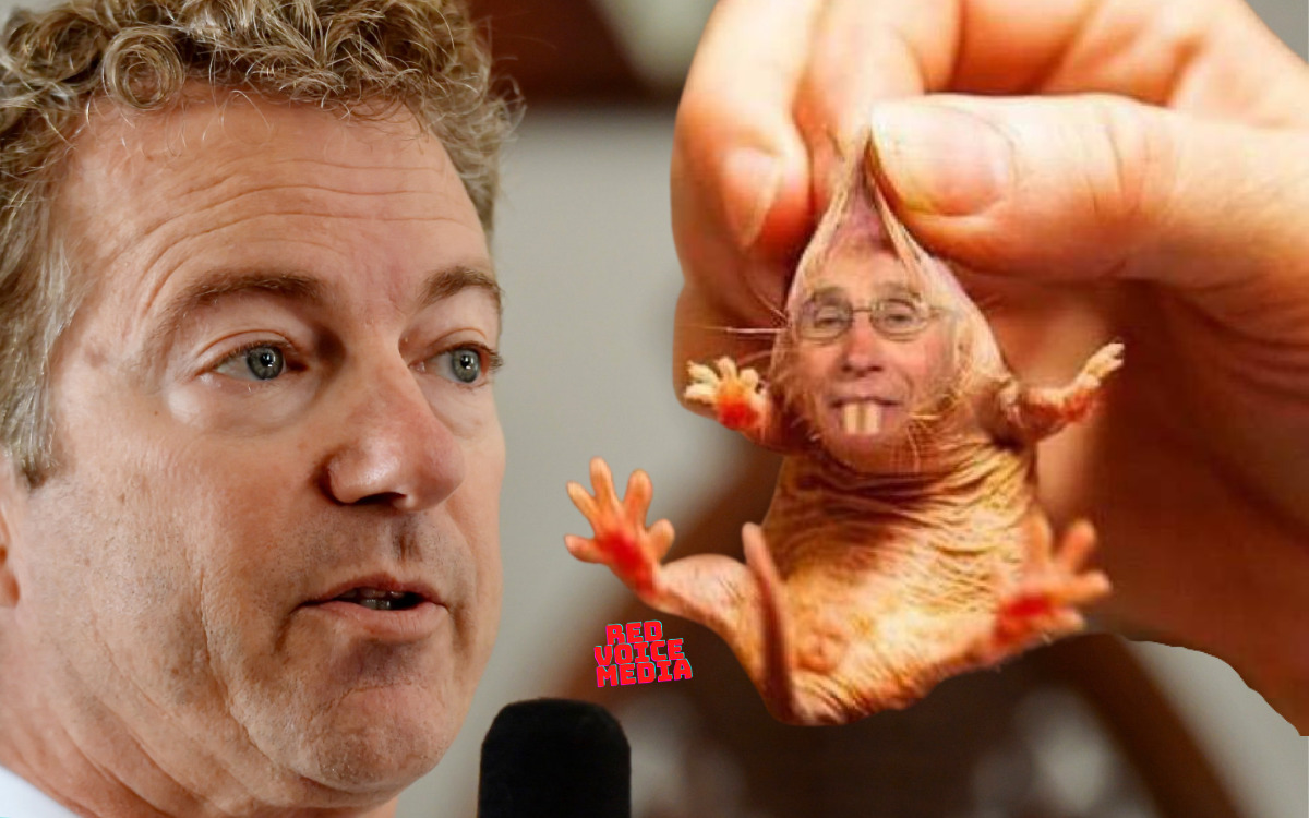 Dr. Fauci's Call For A Fourth COVID Jab Gets Wrecked By Rand Paul - 'Mother Nature Gave You A Booster' [VIDEO]