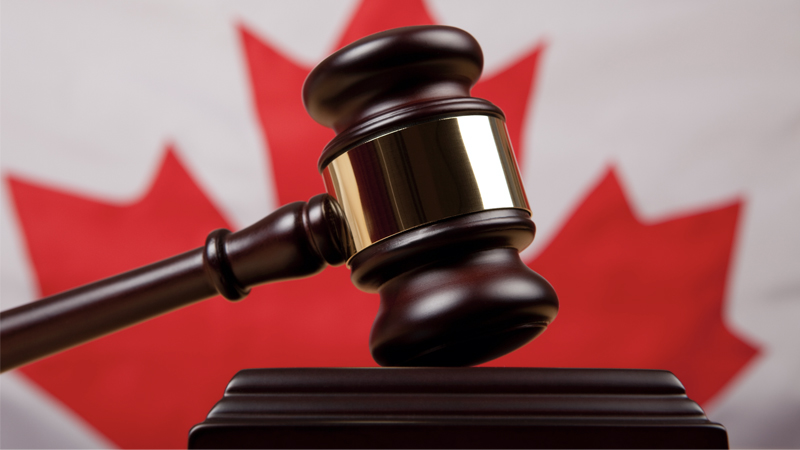 Breaking: Judge Bans Honking in Ottawa For 10 Days — Freedom Convoy Responds With More Honking