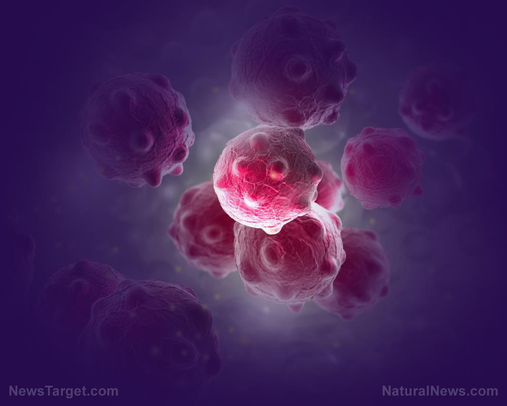 If you have controlled the cancer, it is out of control after the safe vaccine is given – World-Signals News