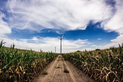 The coming food shortages are going to be FAR WORSE than we are being told - Strange Sounds