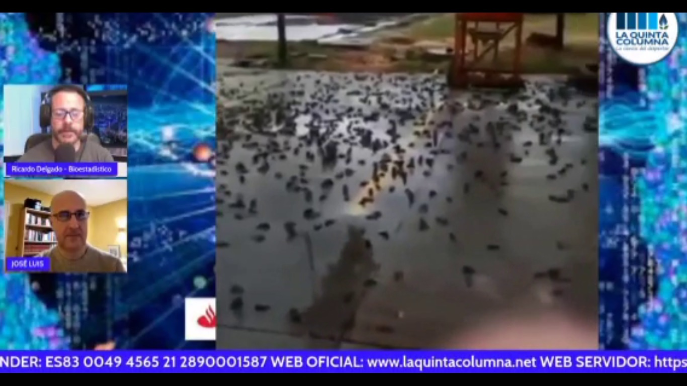 La Quinta Columna shows thousands of killed birds and connects to the 5G network – World-Signals News