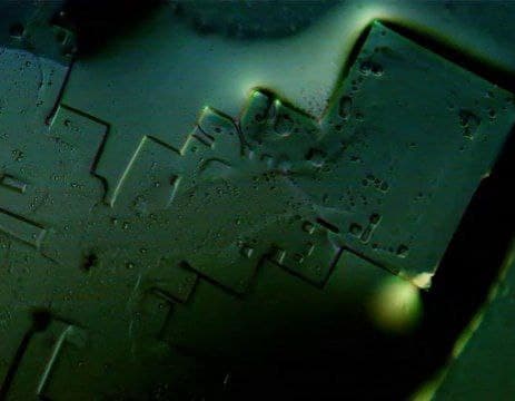 Pfizer Vaccine – What is it asking researchers, morgellons, motherboard? – World-Signals News