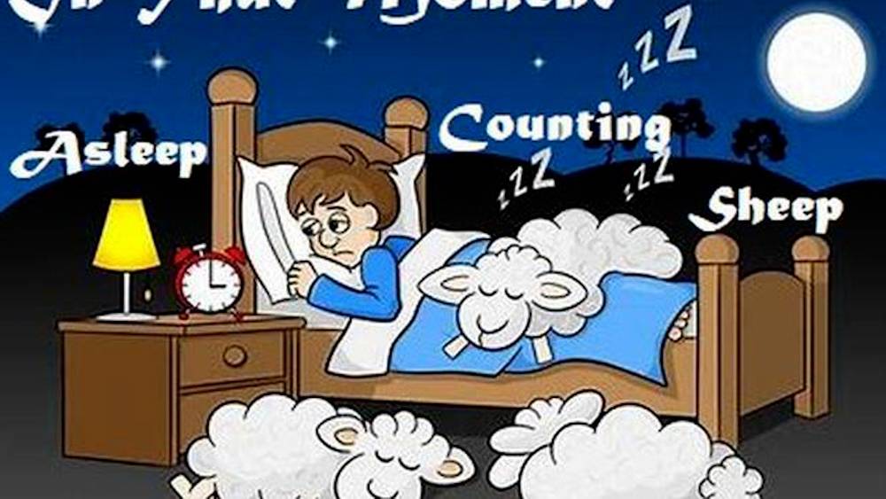 Asleep counting Sheep