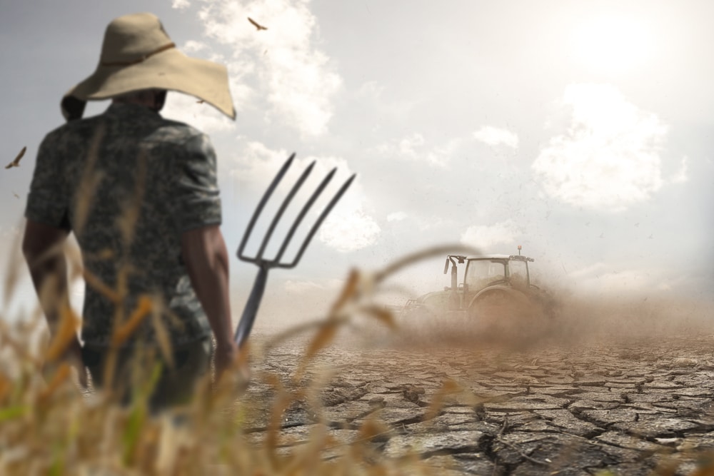 Wheat and soybeans reach nine-year highs as Russia invades Ukraine and food prices will go even higher in America