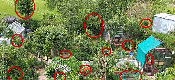 How To Grow A Food Garden Completely Hidden In Plain Sight - Ask a Prepper