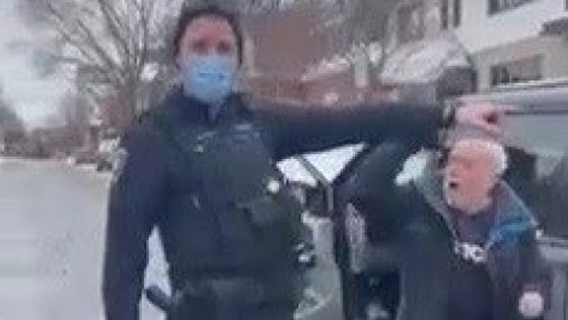 Shock Video: Ottawa Police Assault, Arrest Elderly Man For Honking Horn
