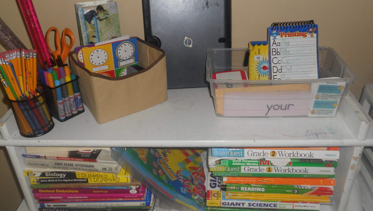 Why Homeschooling Is The Most Effective Political Resistance