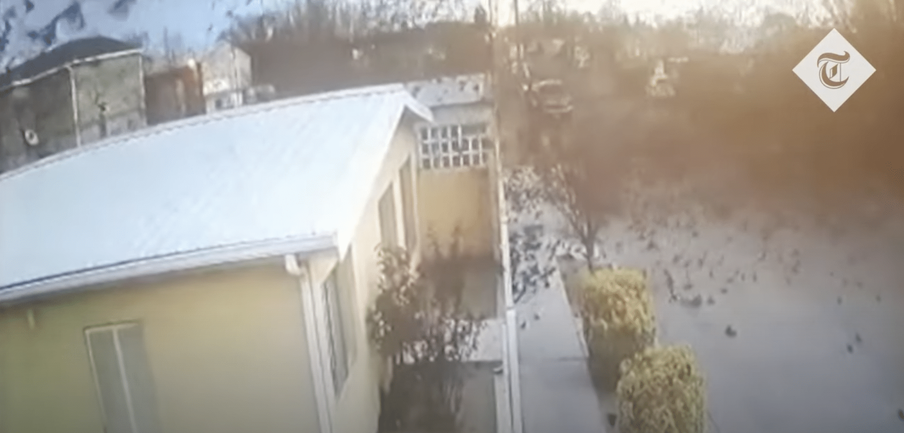 Huge flock of birds seen mysteriously dropping-dead in mid-flight leaving authorities baffled