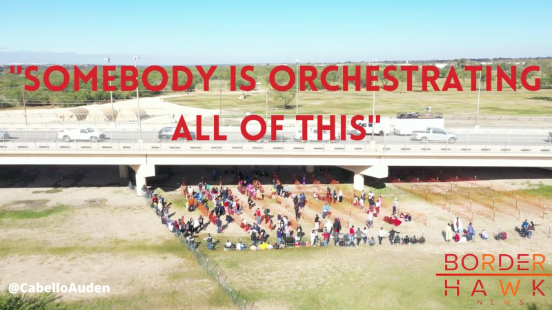 “Somebody Is Orchestrating All of This” – Border Reporters Expose Powerful Forces Behind Migrant Crisis – NewsWars