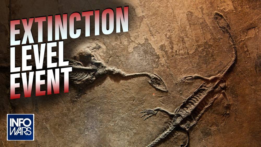 Doctor Lee Merritt Warns: This Is An Extinction-Level Event