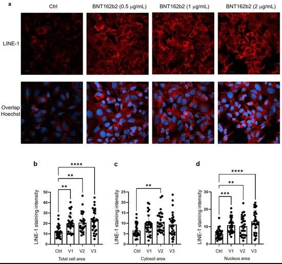 Swedish study: mRNA Vaccines Alter Human Liver DNA In Vitro – World-Signals News