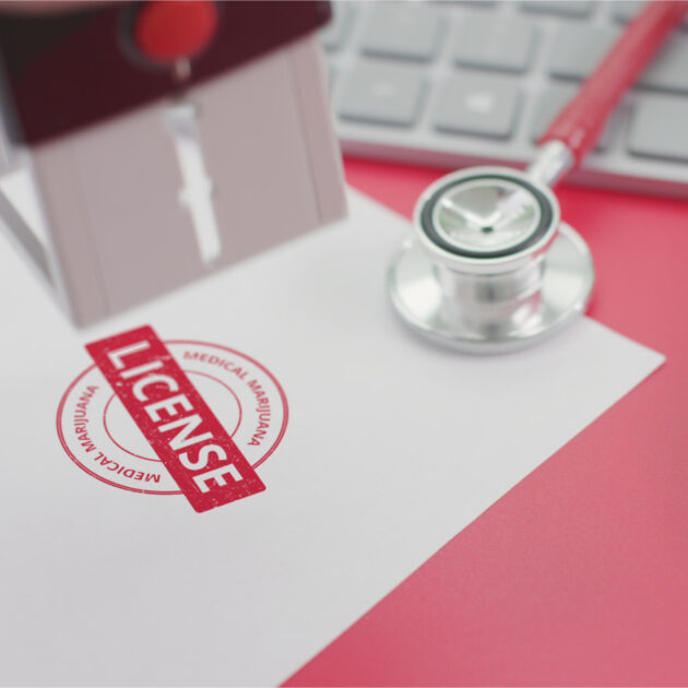 Dr. Moss: Will I Lose My Medical License for Writing This Piece on COVID & the Medical Establishment? ⋆ Flag And Cross