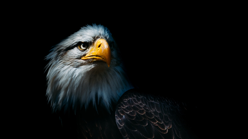 The Globalists Are Losing, But What’s Next? Tune In NOW