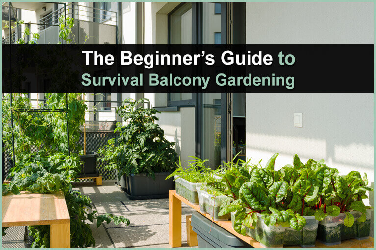 Survival Balcony Gardening | Urban Survival Site