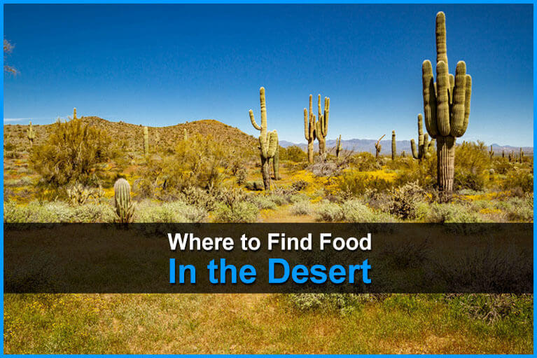 Where To Find Food In The Desert | Urban Survival Site