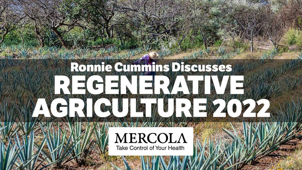 Annual Update for Regenerative Agriculture Week- Interview with Ronnie Cummins