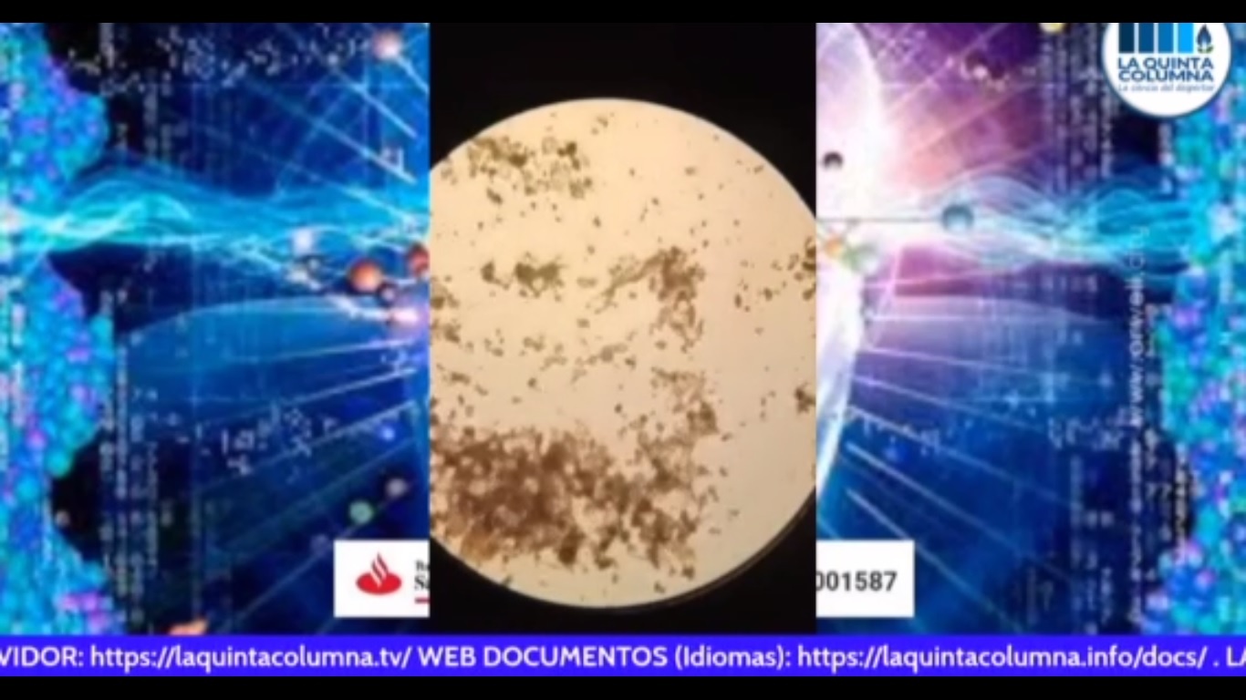 Dust storms in Spain turned out to contain magnetic metals and Morgellons – World-Signals News
