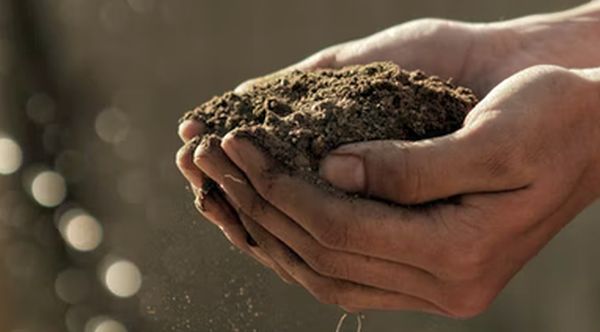 Russia threatens to crash world food supply by withholding fertilizer
