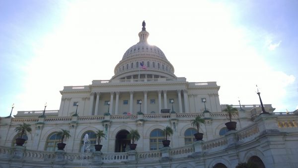 Republicans Probe Putin’s Alleged Effort To ‘Undermine American Energy Security’ By Funding US Green Groups | CDN