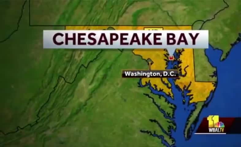 BREAKING NEWS PLANNED EVENT OR EVIL INTENT SECOND EVERGREEN SHIP GROUNDED OFF MD COAST 1 YR LATE