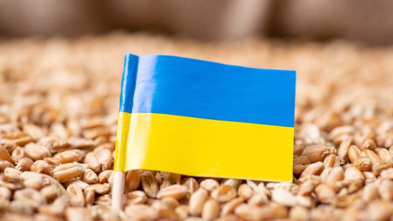 Higher grain prices will mean more food insecurity – EURACTIV.com