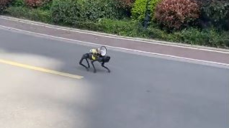 Robot Dogs With Loudspeakers Enforce Shanghai Lockdown