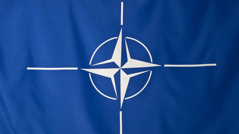 Ukraine Joining NATO ‘Will Not Take Place’, Says German Chancellor