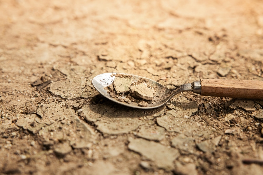 The UN has just warned that we could likely see the worst global food crisis since World War 2