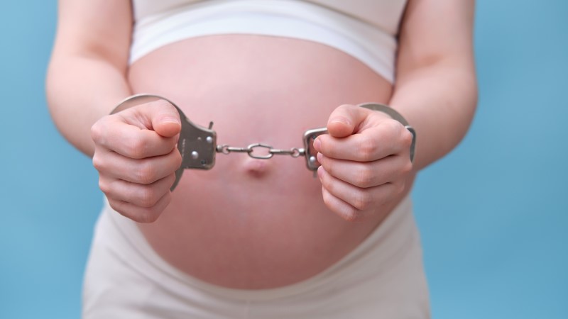 Trans Prisoners Impregnate Two Women Inmates At ‘All-Female’ Jail