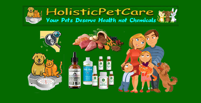 #1 Holistic Pet Care - Best Natural Medicine for Cats & Dogs