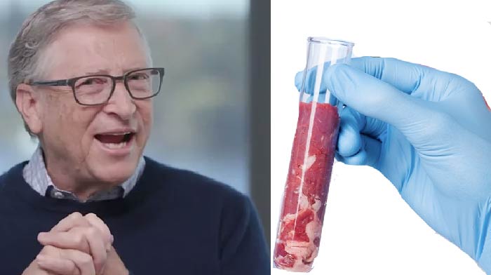 Bill Gates 