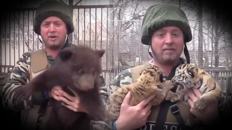 Ukraine Under Fire: Reporter Documents War-Torn Mariupol