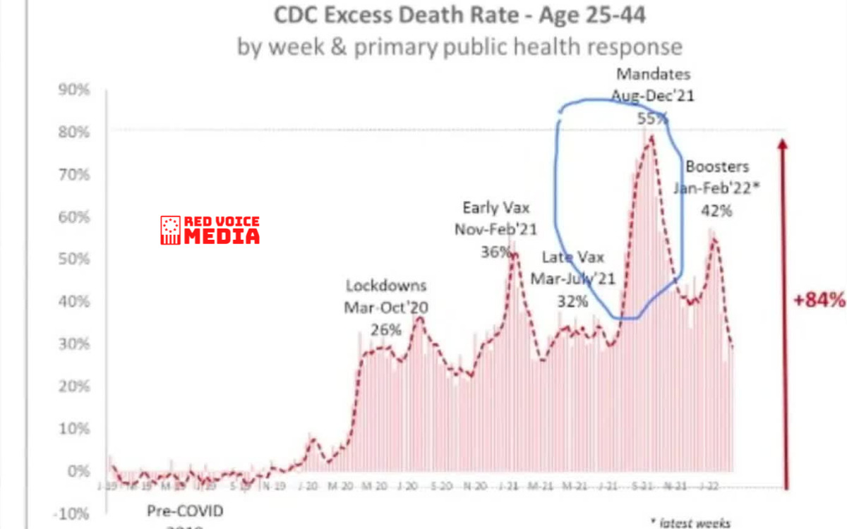 Smoking Gun: The Rate of Change of Millennial Deaths Points Directly to the Jab - Edward Dowd [VIDEO]