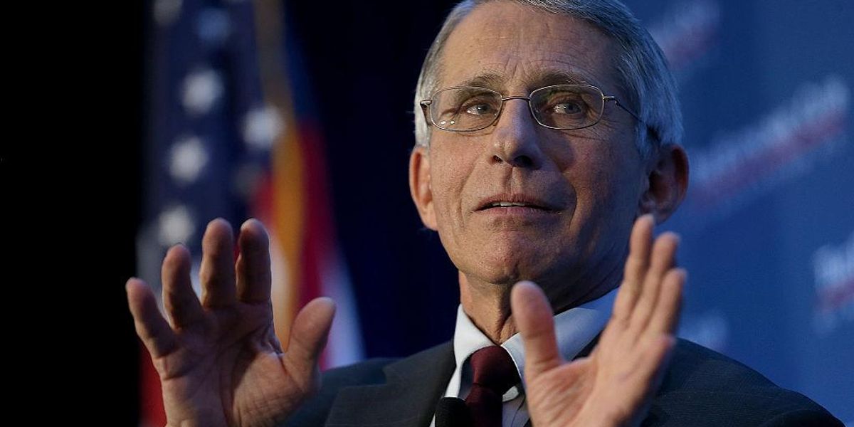 Explosive report provides new details on Fauci's lab-leak cover-up - TheBlaze