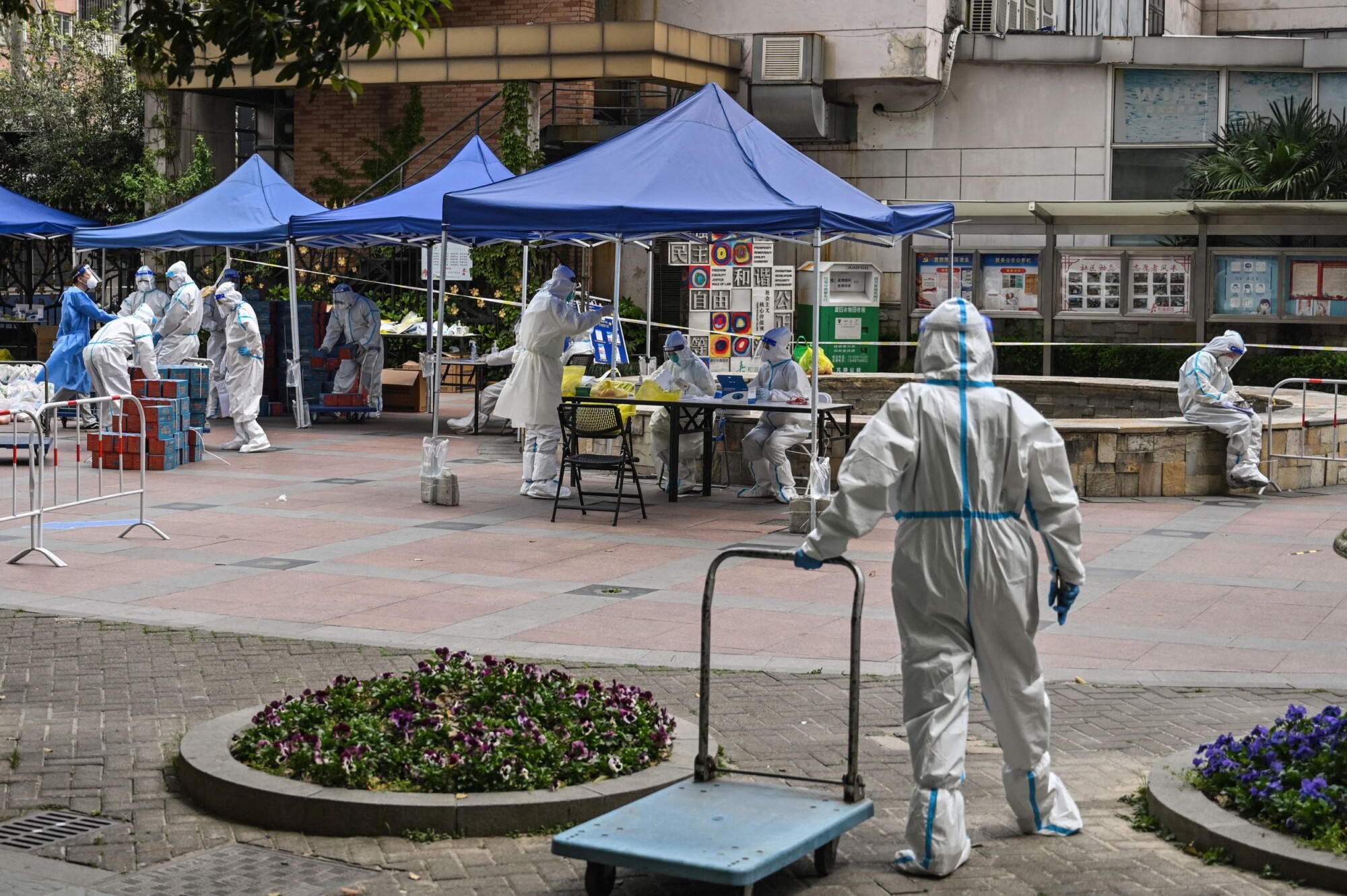 Northeastern China Residents Struggle to Find Food
