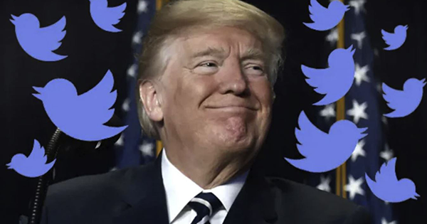 PollKing