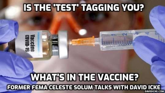 David Icke Former FEMA operative Celeste Solum: 'The Covid tests are magnetically tagging you and the vaccine is designed for mass depopulation and the synthetic t