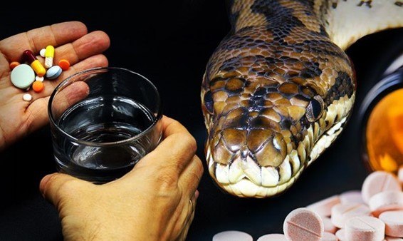 Pharmaceutical Snake Venom Enzymes