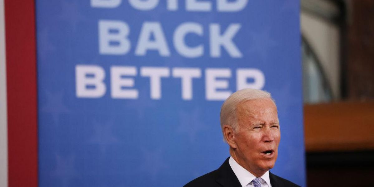 Joe Biden pollster warns Democrats could get destroyed in 2022 midterms - TheBlaze