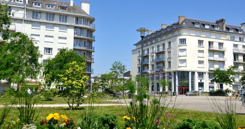 France: Elderly Woman Brutally Attacked While Feeding Birds in Park