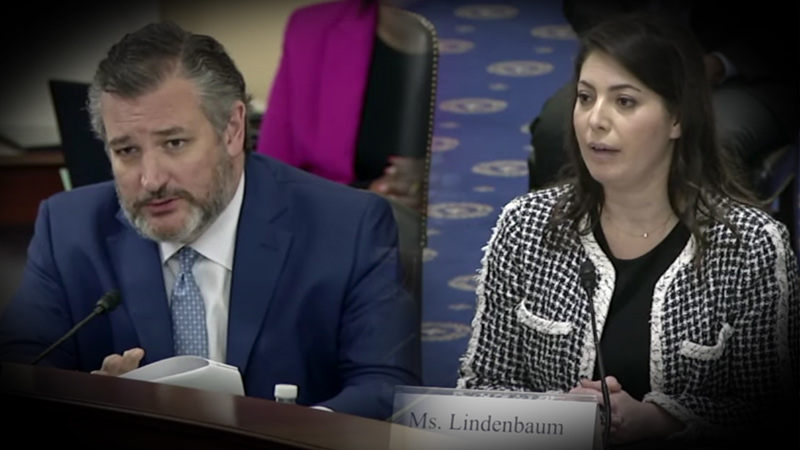Sen. Cruz Blasts Biden FEC Nominee Who Pledged Georgia Voting Machines Switched Votes