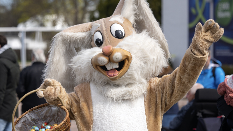 WTF: Parent In Easter Bunny Costume Hands Out Condom-Filled Eggs To Children in Texas